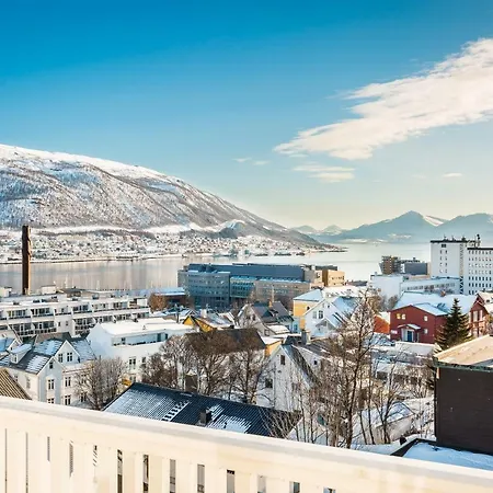 Bramy The Aurora Lux View