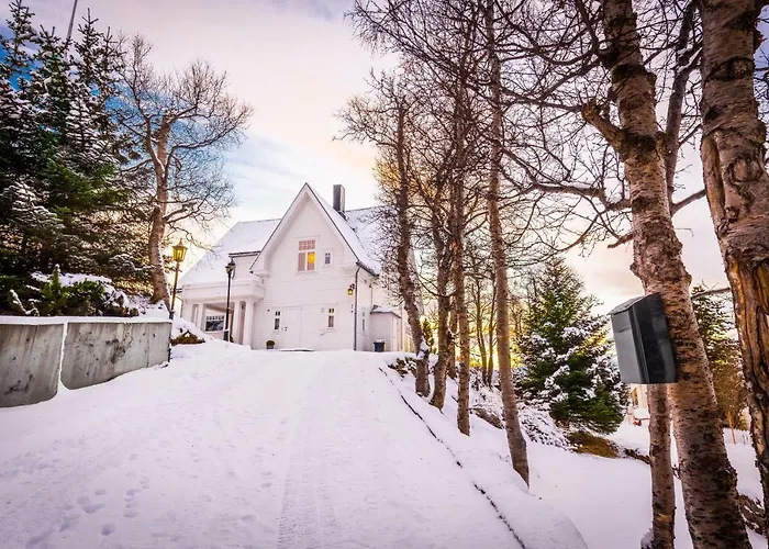 Bramy The Aurora Lux View